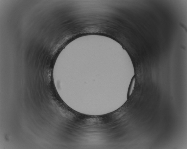 X0000103280160200809261234