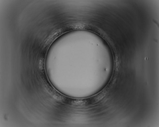 X0000103280161200809261235