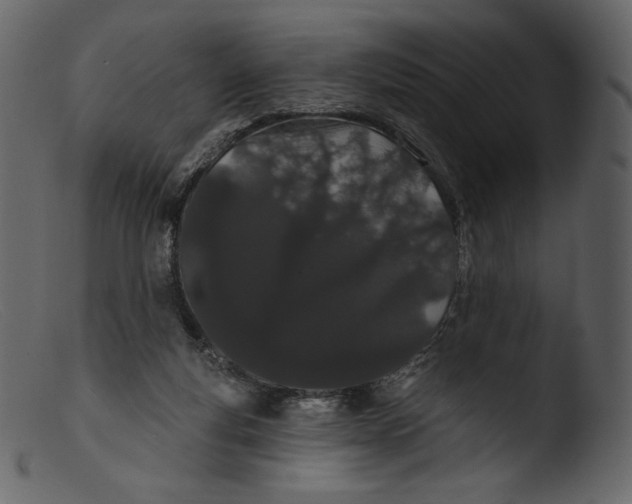 X0000103280163200809261235