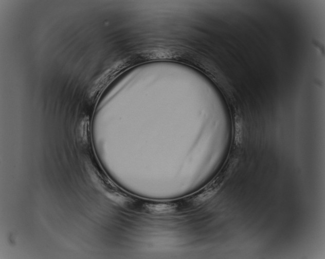 X0000103280165200809261235