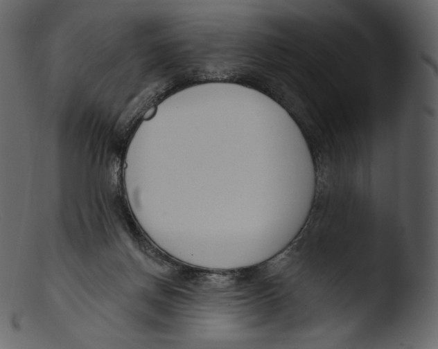 X0000103280166200809261235