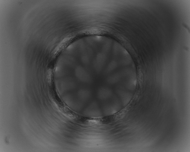 X0000103280167200809261235