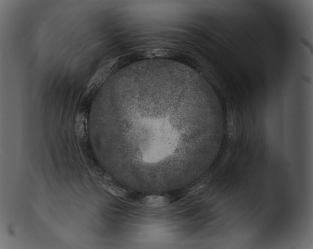 X0000103280169200809261235