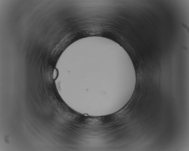 X0000103280170200809261235