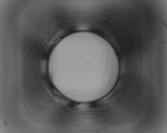 X0000103280171200809261235