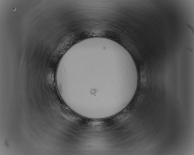 X0000103280173200809261235