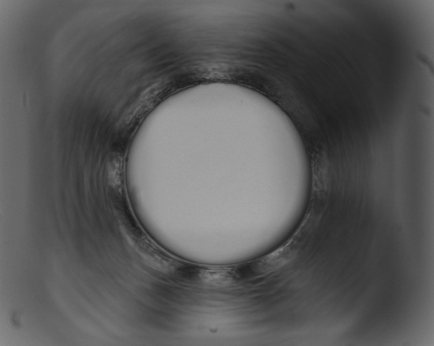 X0000103280175200809261235