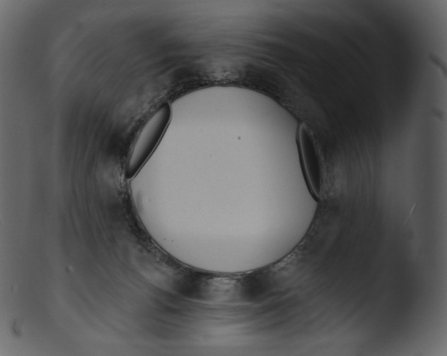 X0000103280176200809261235