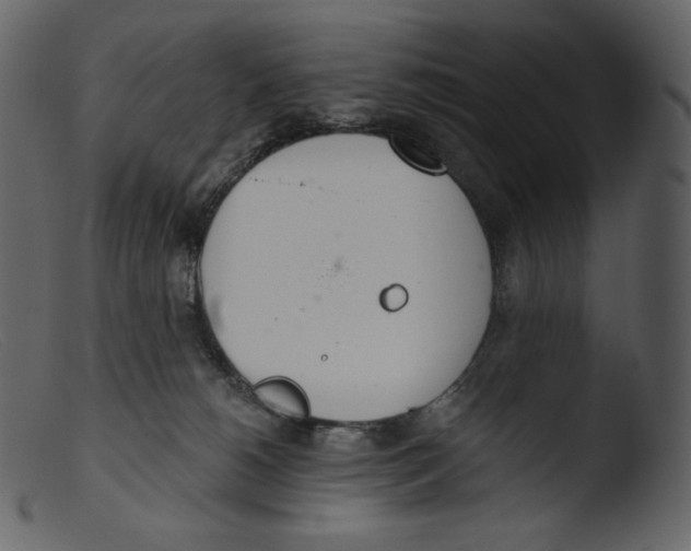 X0000103280180200809261235