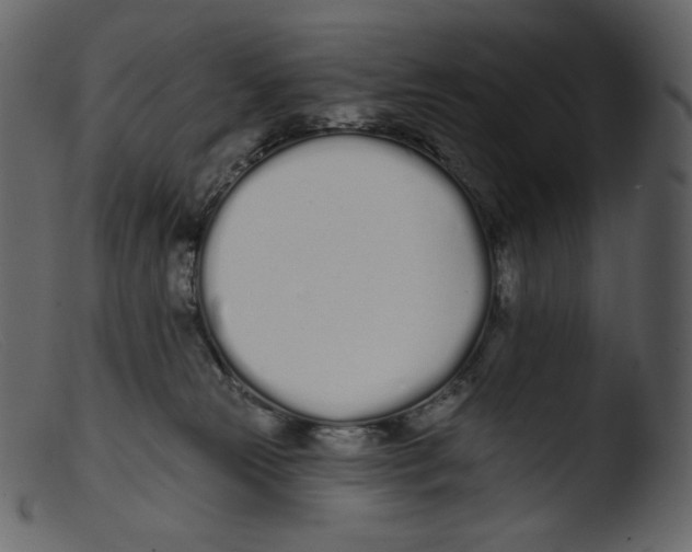 X0000103280181200809261235