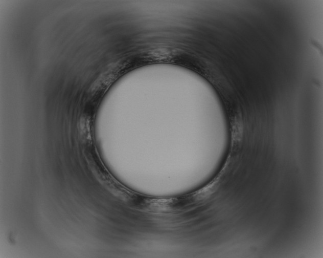 X0000103280182200809261235