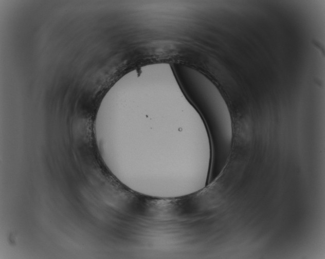 X0000103280184200809261235