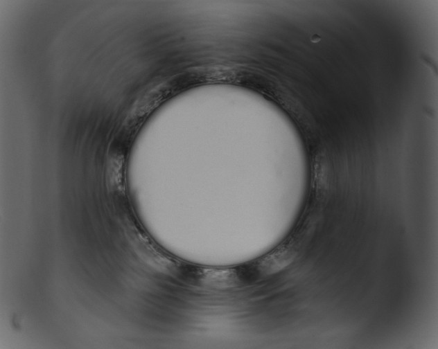 X0000103280185200809261235