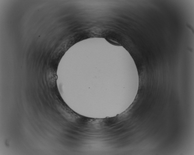 X0000103280186200809261235