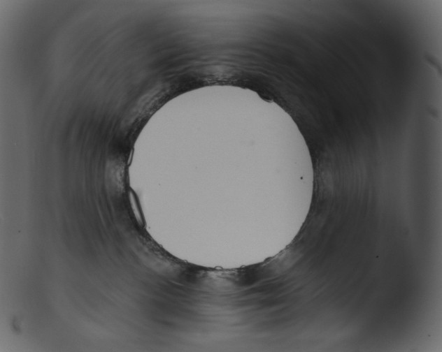 X0000103280188200809261235