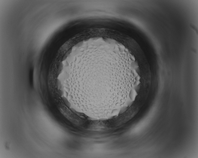 X0000103280189200809261235