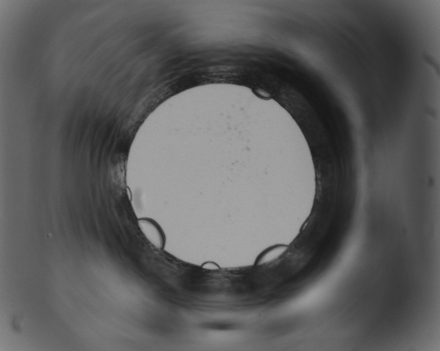 X0000103280190200809261235