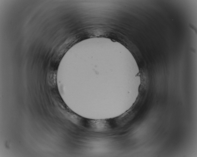 X0000103280191200809261235