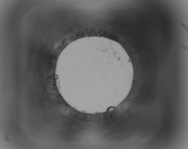 X0000103280192200809261235