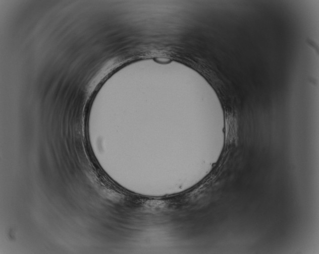 X0000103280195200809261234