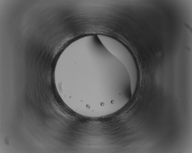 X0000103280203200809261234