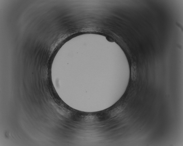 X0000103280204200809261234