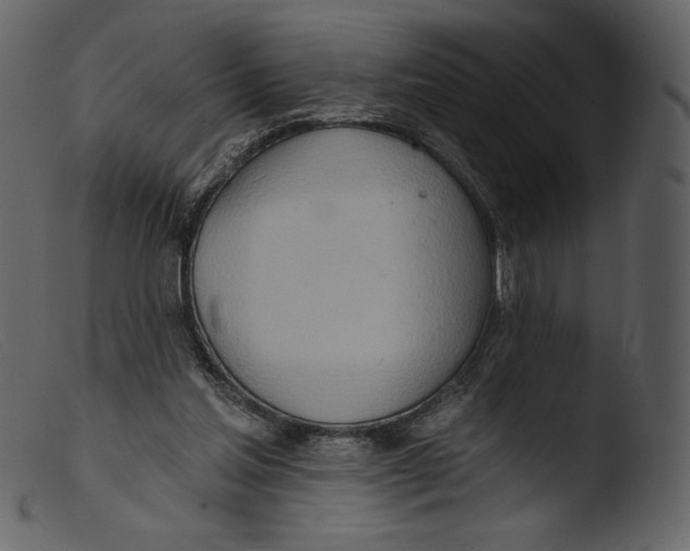 X0000103280205200809261234