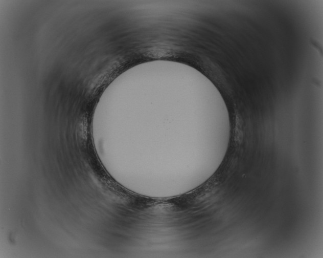 X0000103280210200809261234