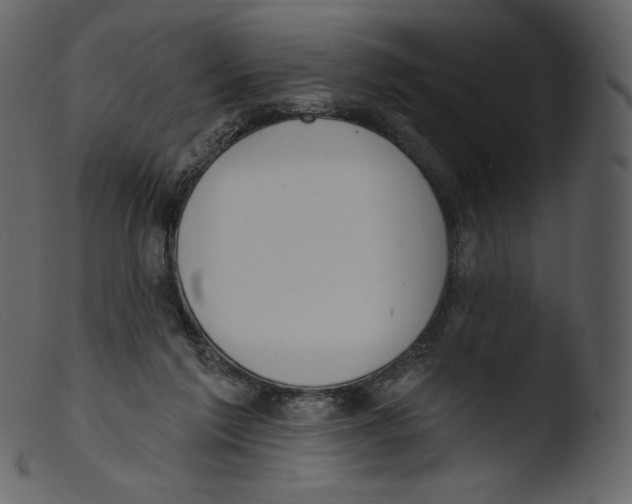 X0000103280213200809261234