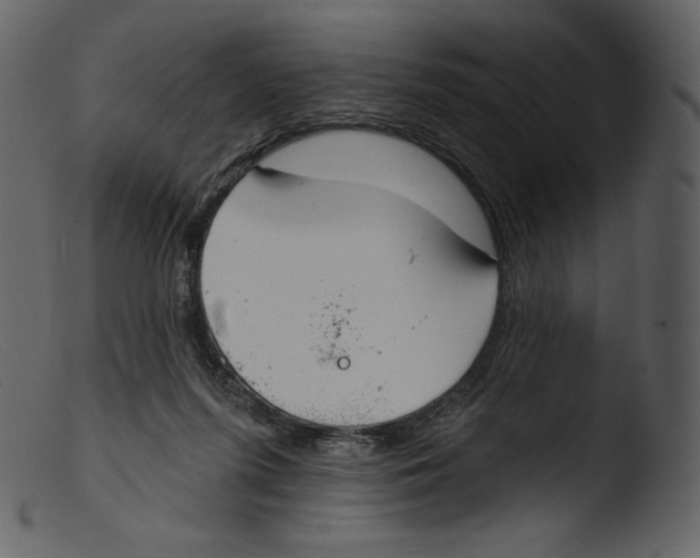 X0000103280215200809261234