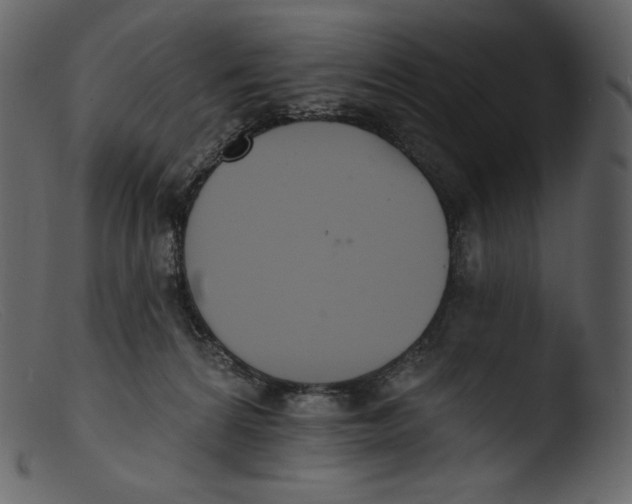 X0000103280224200809261234