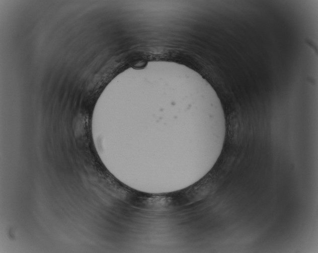 X0000103280225200809261234