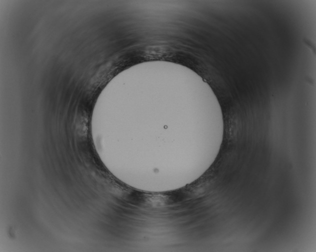 X0000103280226200809261234