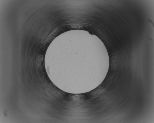 X0000103280229200809261234