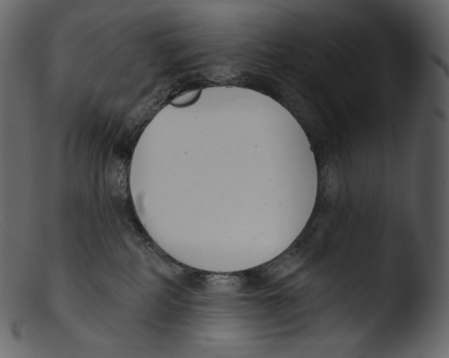 X0000103280234200809261233