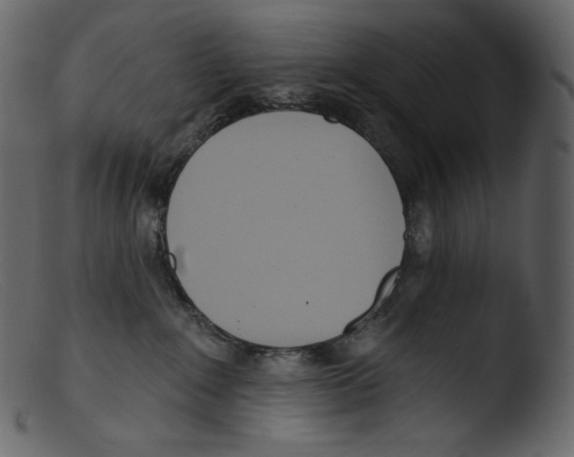 X0000103280235200809261233