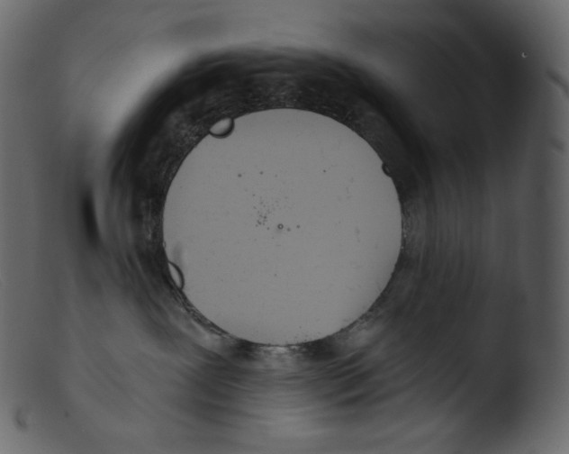 X0000103280239200809261233