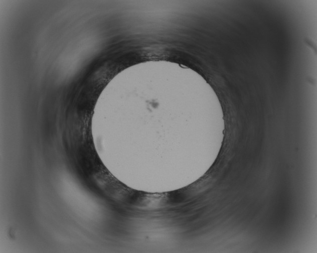 X0000103280240200809261233