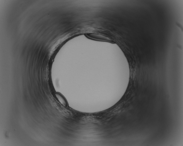 X0000103280244200809261233