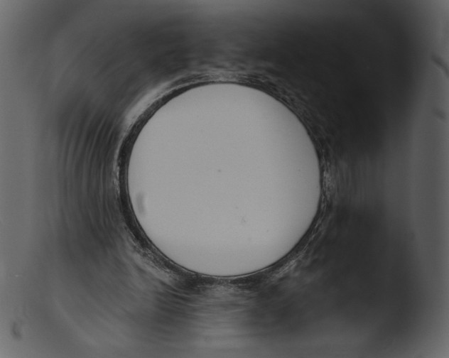 X0000103280246200809261233