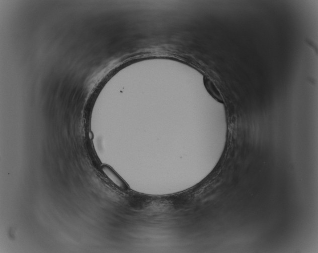 X0000103280248200809261233