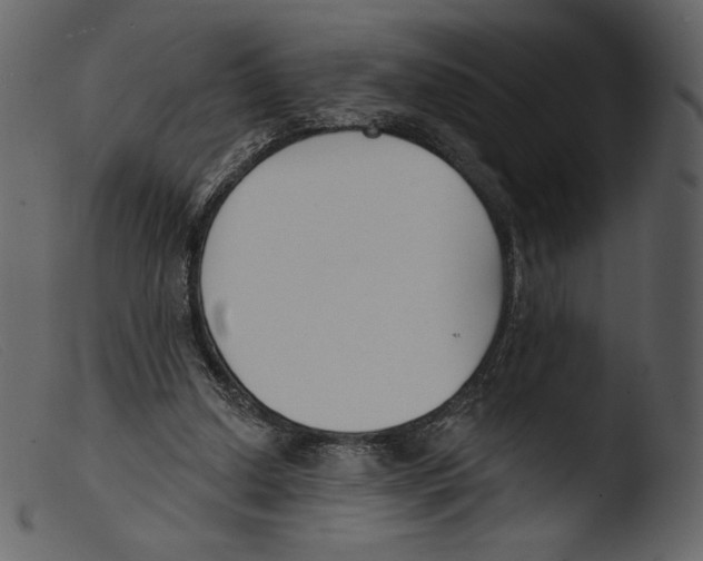 X0000103280250200809261233