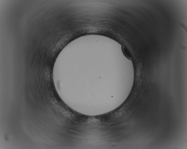 X0000103280257200809261233