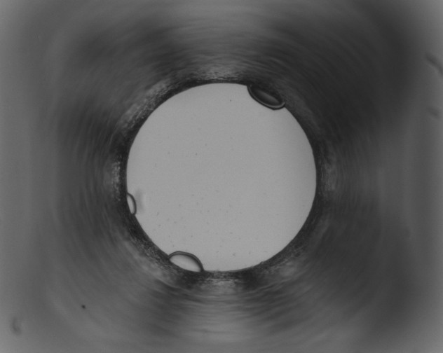 X0000103280260200809261233