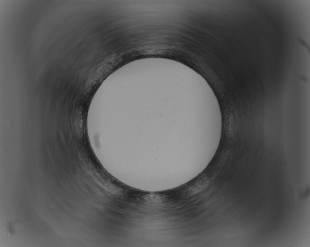 X0000103280261200809261233