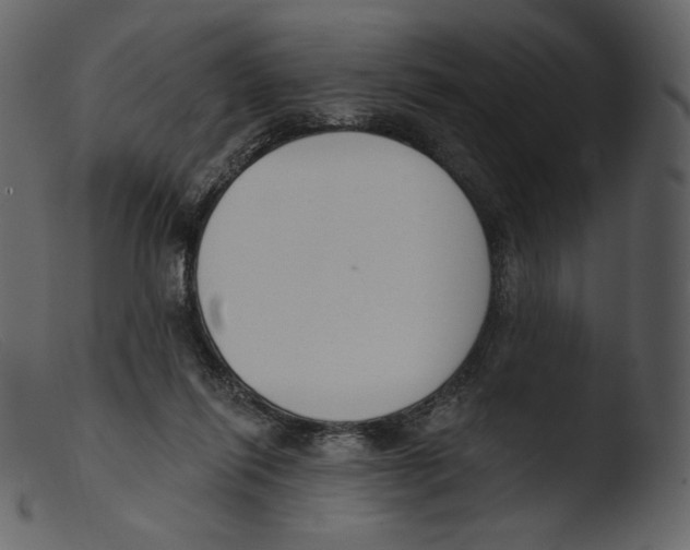 X0000103280262200809261233