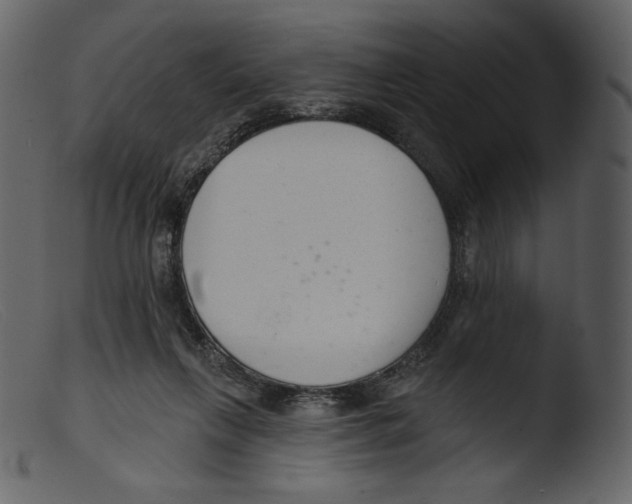 X0000103280263200809261233