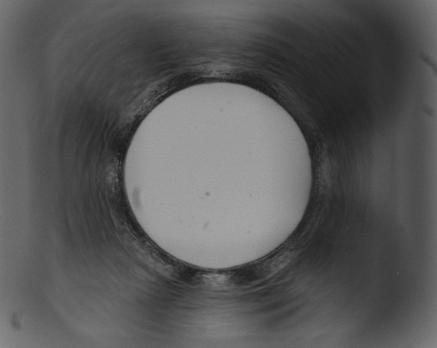 X0000103280265200809261233