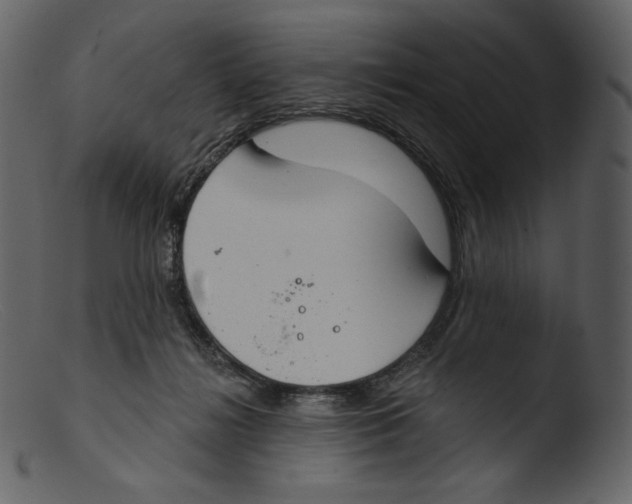 X0000103280268200809261233