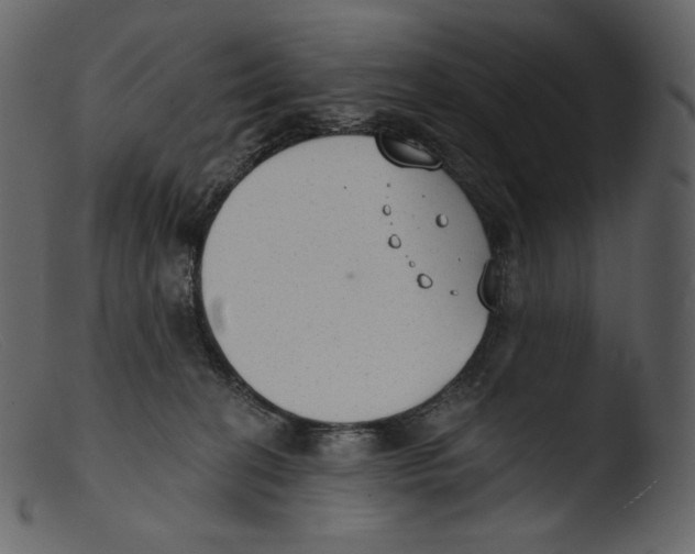 X0000103280274200809261233